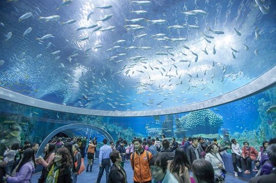 世界一大きい水族館　長隆海洋王国